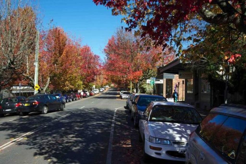 Nuach Cottage - Beautiful Family Home In Leura Exterior foto